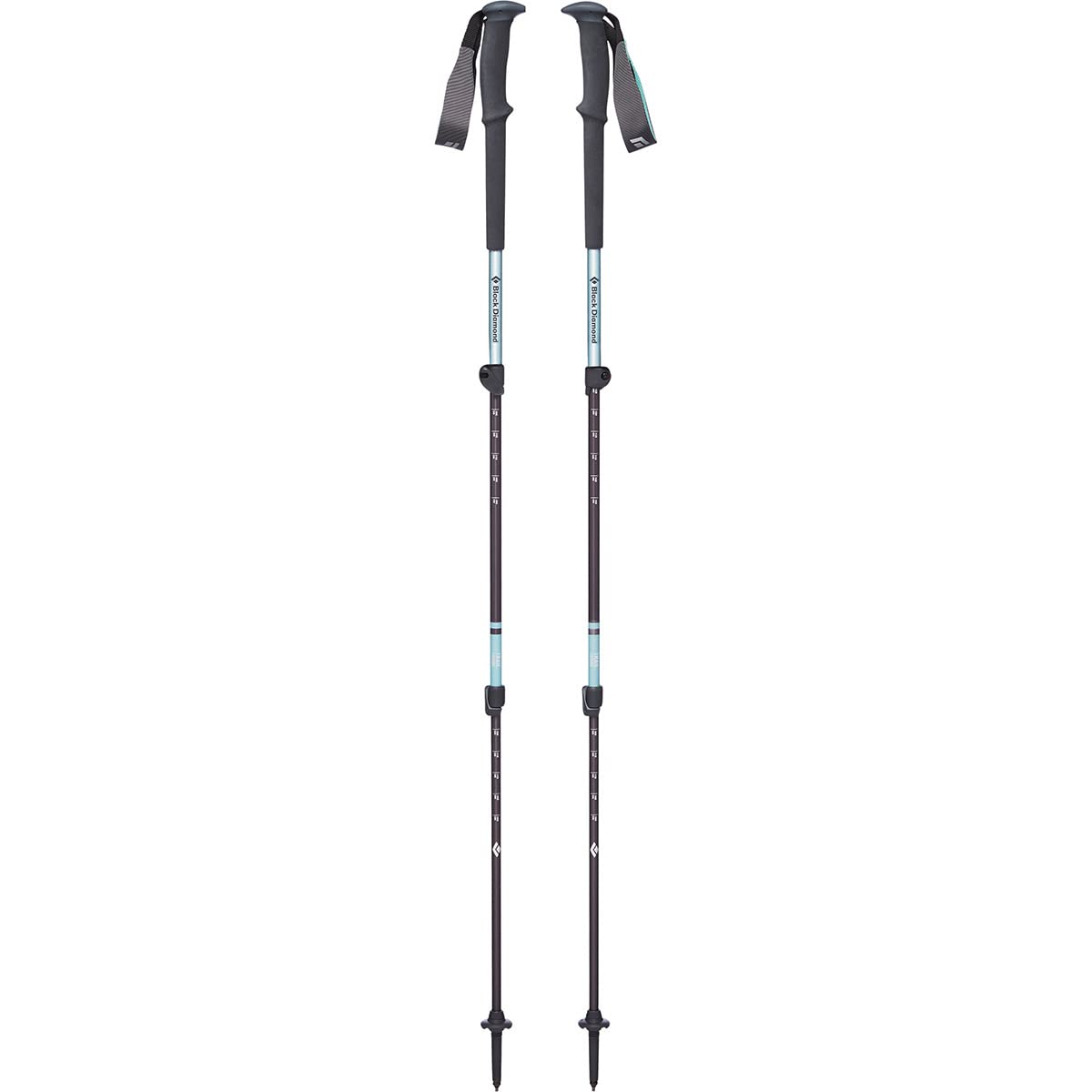 BLACK DIAMOND Trail Trekking Poles (Pair) | Lightweight Aluminum Hiking Poles | Natural, Cork, or Foam Grips | FlickLock Adjustable Shafts for All-Season Stability