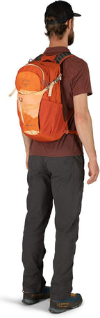 Osprey Daylite Plus Daypack (Prior Season)
