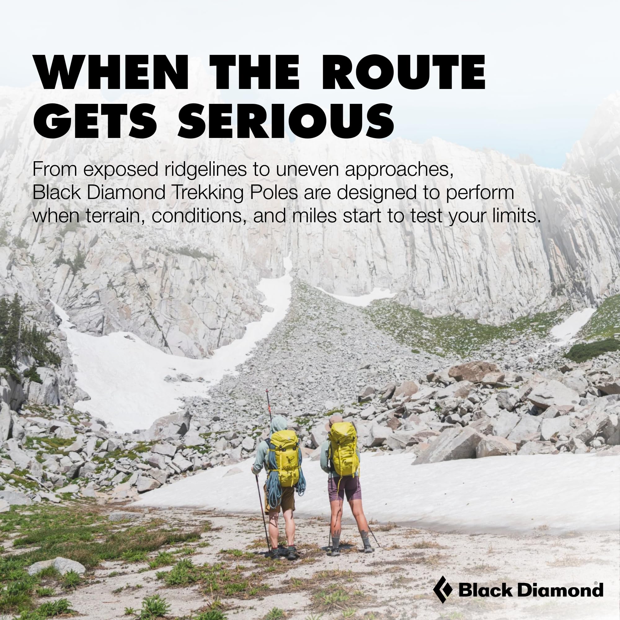 BLACK DIAMOND Trail Trekking Poles (Pair) | Lightweight Aluminum Hiking Poles | Natural, Cork, or Foam Grips | FlickLock Adjustable Shafts for All-Season Stability